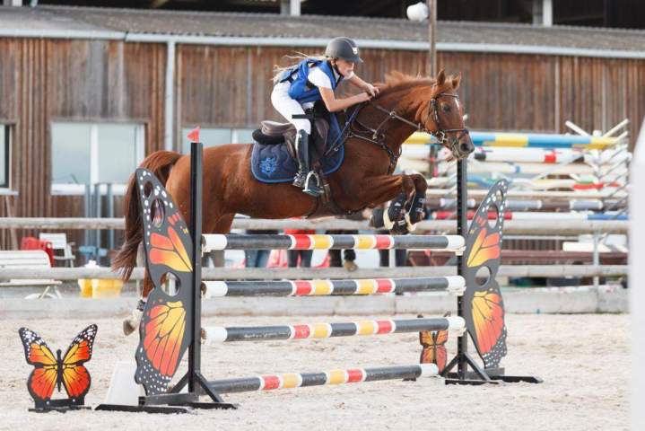 Stage d'équitation Aspach-Michelbach