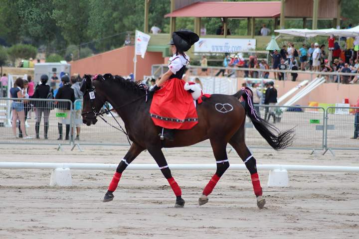 Centre équestre Aspach-Michelbach