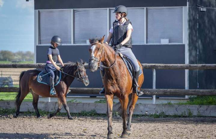 Stage équitation été Aspach-Michelbach