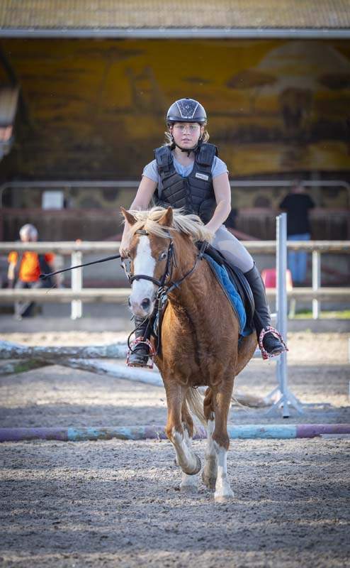 Stage d'équitation Aspach-Michelbach