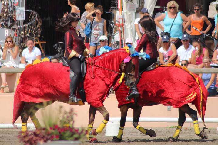 Écurie chevaux Aspach-Michelbach