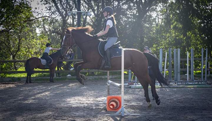 Stage d'équitation Aspach-Michelbach