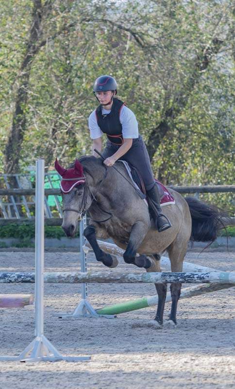 Stage équestre Aspach-Michelbach