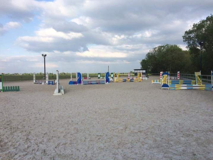 Stage équitation été Aspach-Michelbach