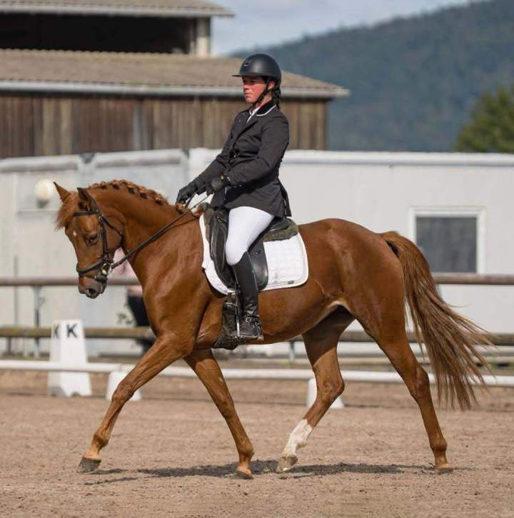 Activité équitation été Aspach Michelbach
