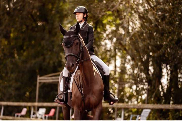 Séjour équitation été Aspach Michelbach