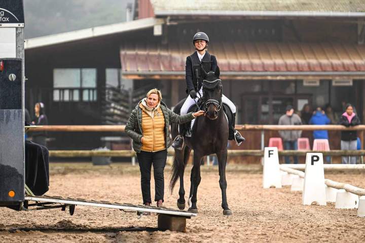Stage équestre Aspach Michelbach