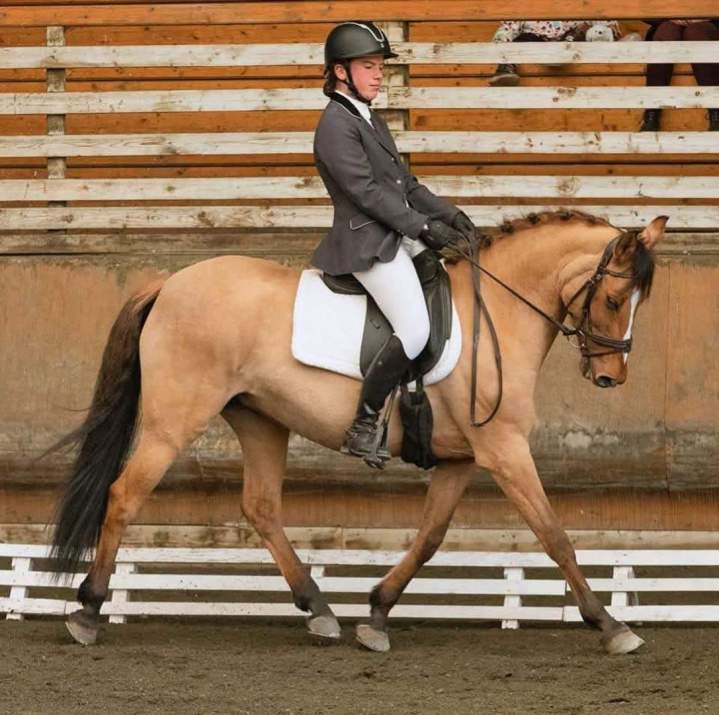 Stage sportif équitation Aspach Michelbach