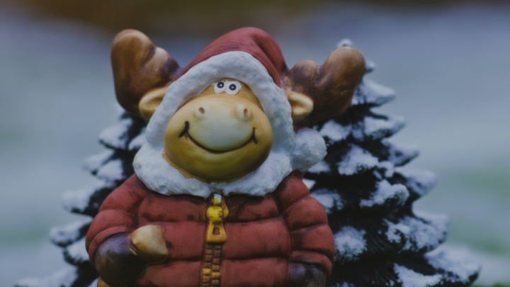 Whisk 33b20b6d9bfdbea8554497cb0bb70eb4dr