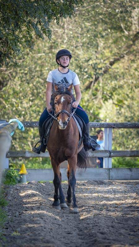 Activité équestre Aspach-Michelbach