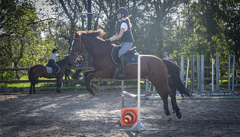 Stage équitation Aspach-Le-Haut Belfort Mulhouse