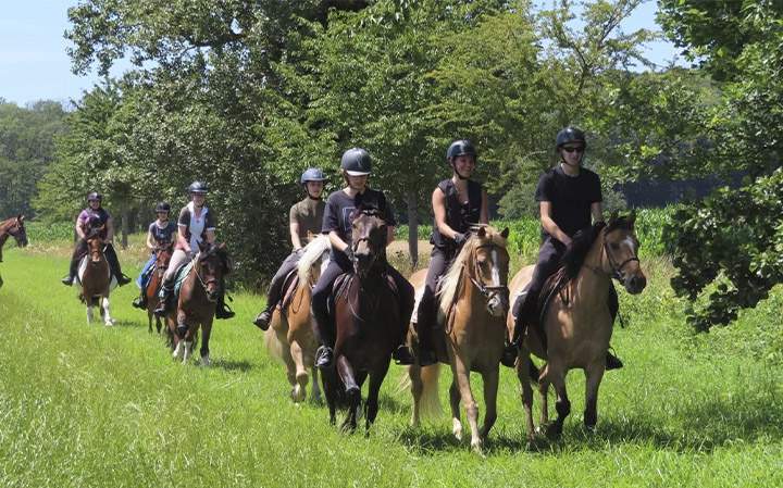 Stage équestre Aspach-Michelbach