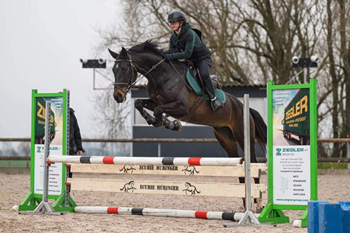 cole d’équitation été Aspach Michelbach